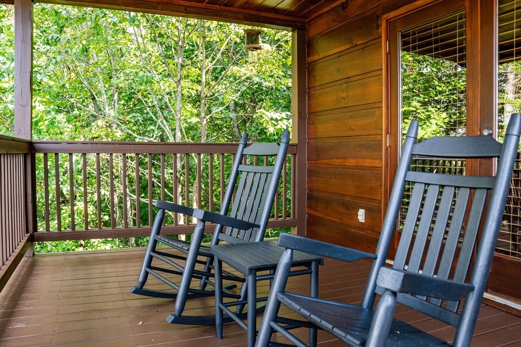 Other 3BR 3BA - 469 Mountain High Drive, Mineral Bluff, GA