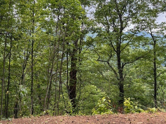 Other - High Springs lot: 12, Bryson City, NC