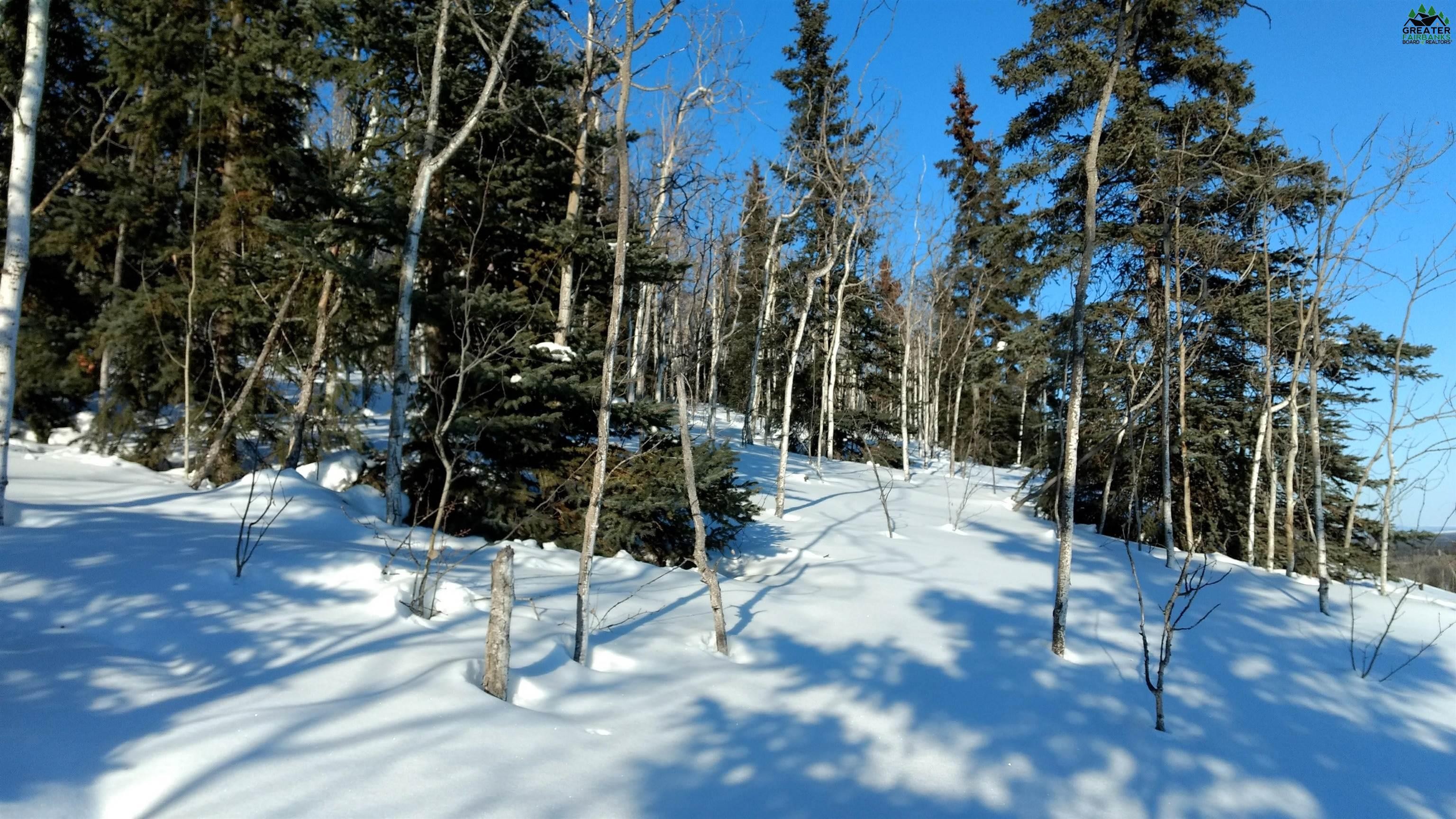Other - NHN DESTINY DRIVE, Fairbanks, AK