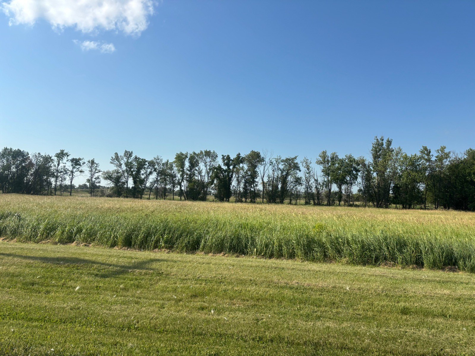 Other - 1500 5th Ave N, New Rockford, ND
