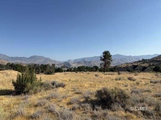 Other - Big Springs Rd, Lake Isabella, CA