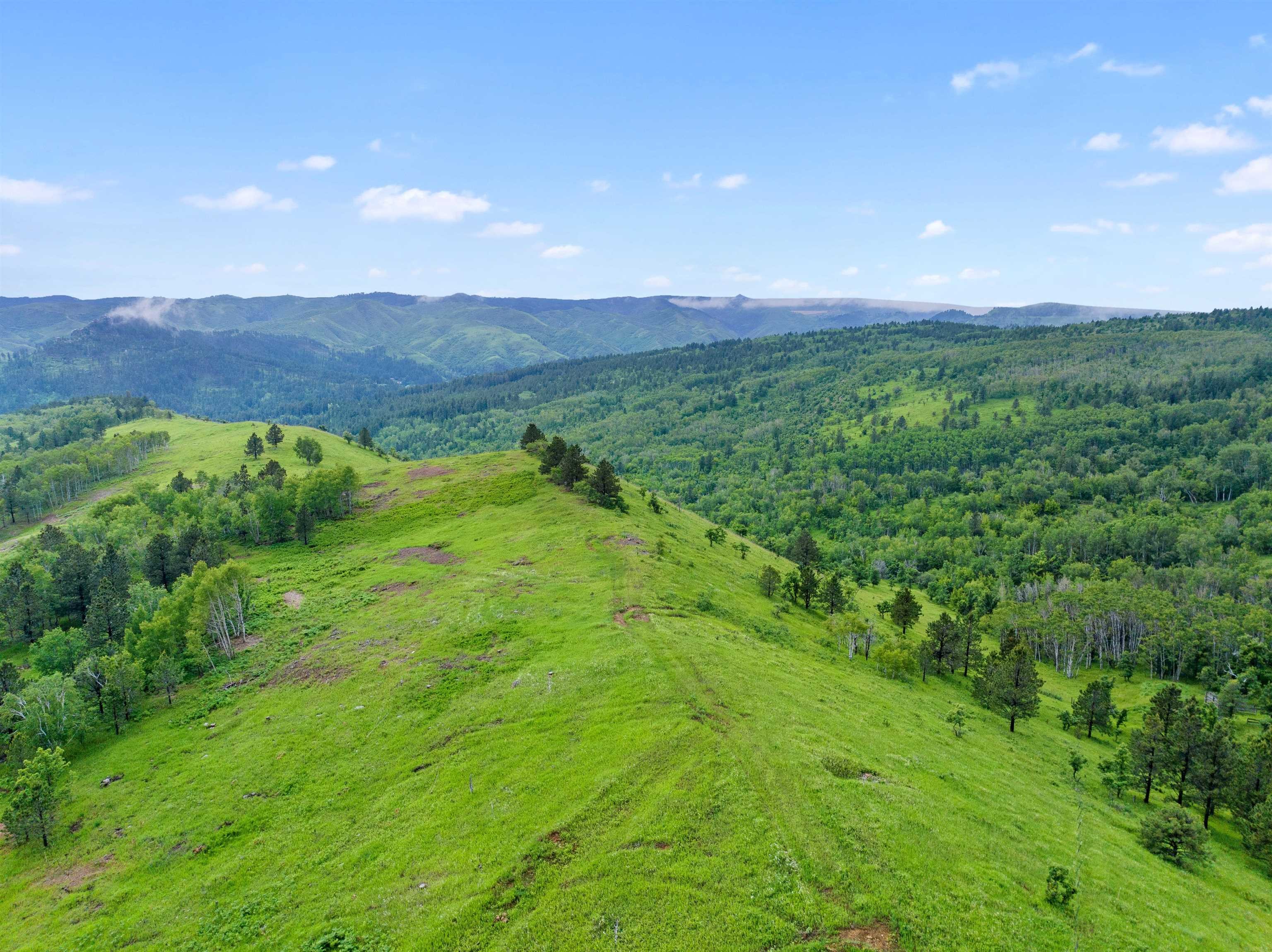 Other - Bavarian Lode Drive lot: 41 Blk 4 Tbd, Deadwood, SD