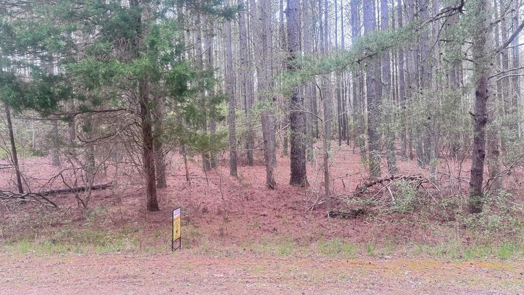 Single Family - Lot 96 Knights Landing Drive, Heathsville, VA