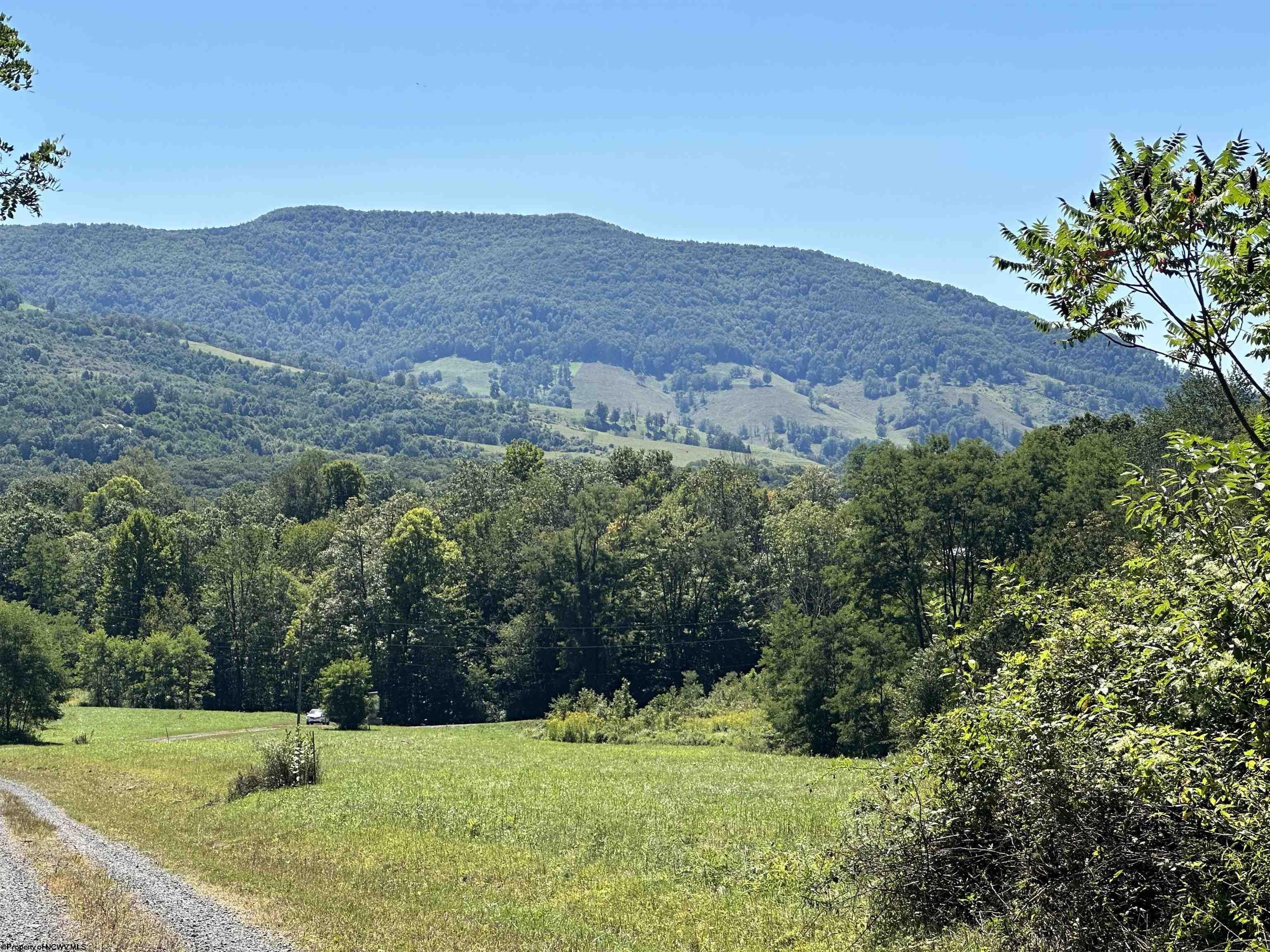 Other - Lot 2 Alpenglow Ridge Drive, Dryfork, WV
