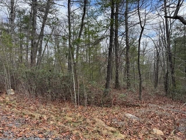 Other - Lot 45 FETTERBUSH LN, HINTON, VA