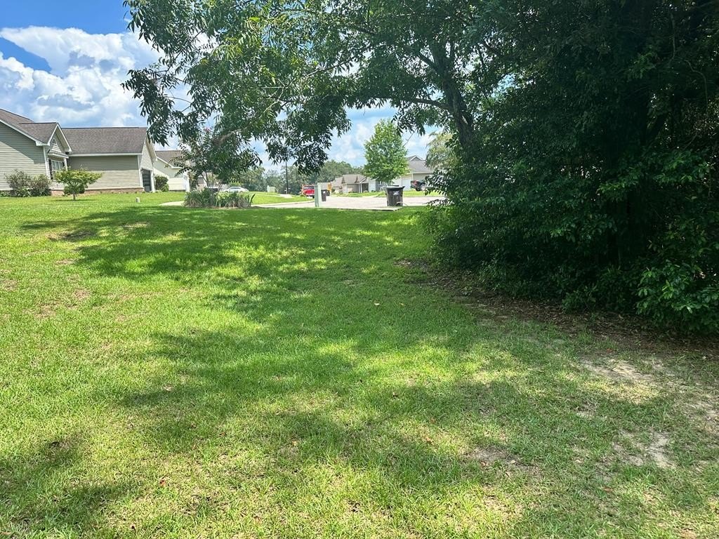 Single Family - 0 Willow Way, Headland, AL
