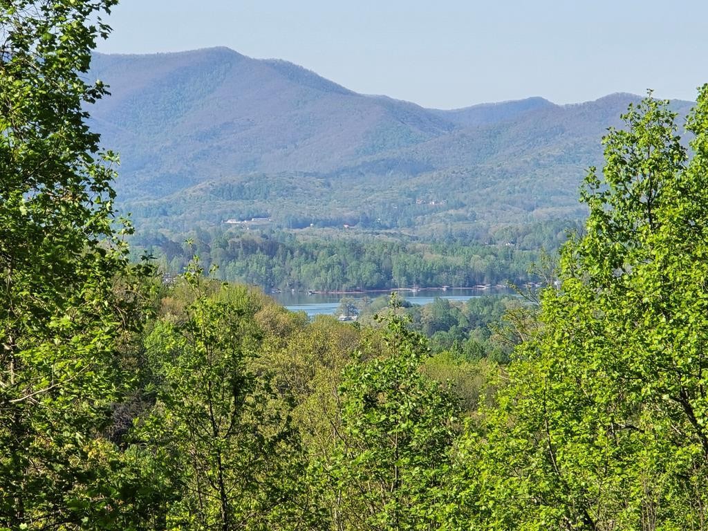 Other - Lt 10 High Meadows, Hayesville, NC