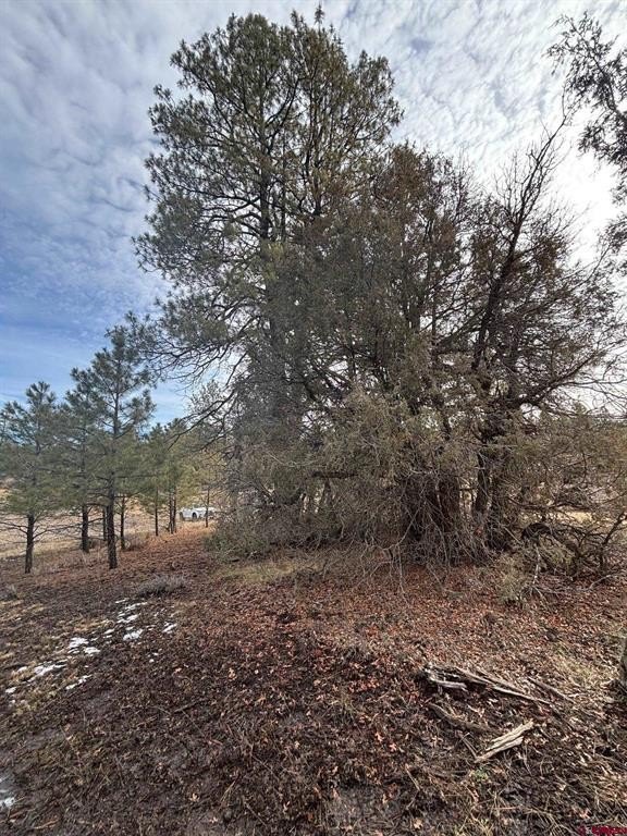 Single Family - 1046 Crooked Road, Pagosa Springs, CO