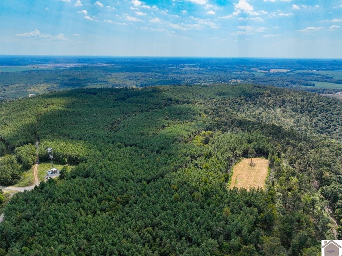 Plots and Land - 000 State Route 1433, Salem, KY