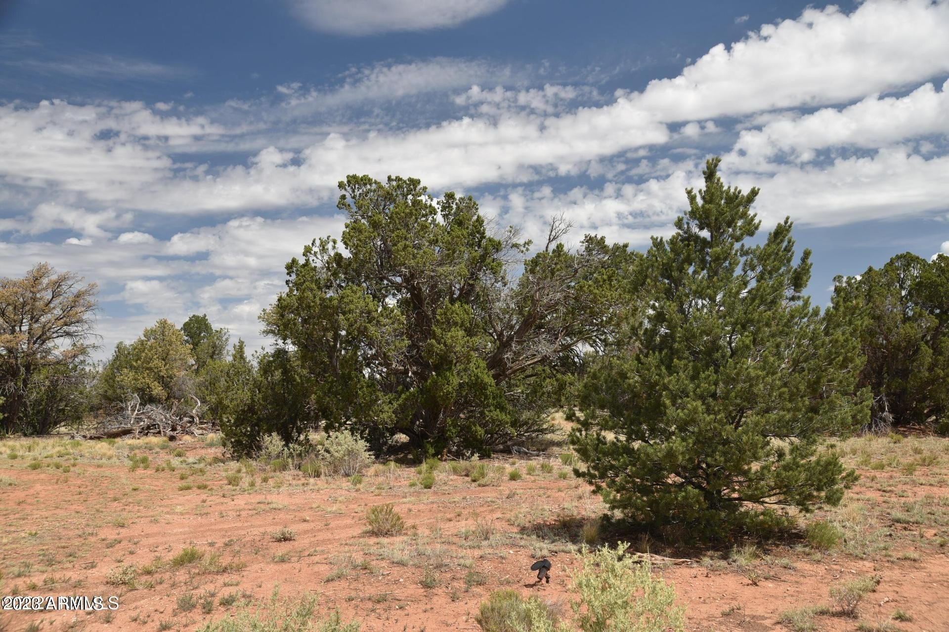 4615 N Alta Villa Rd