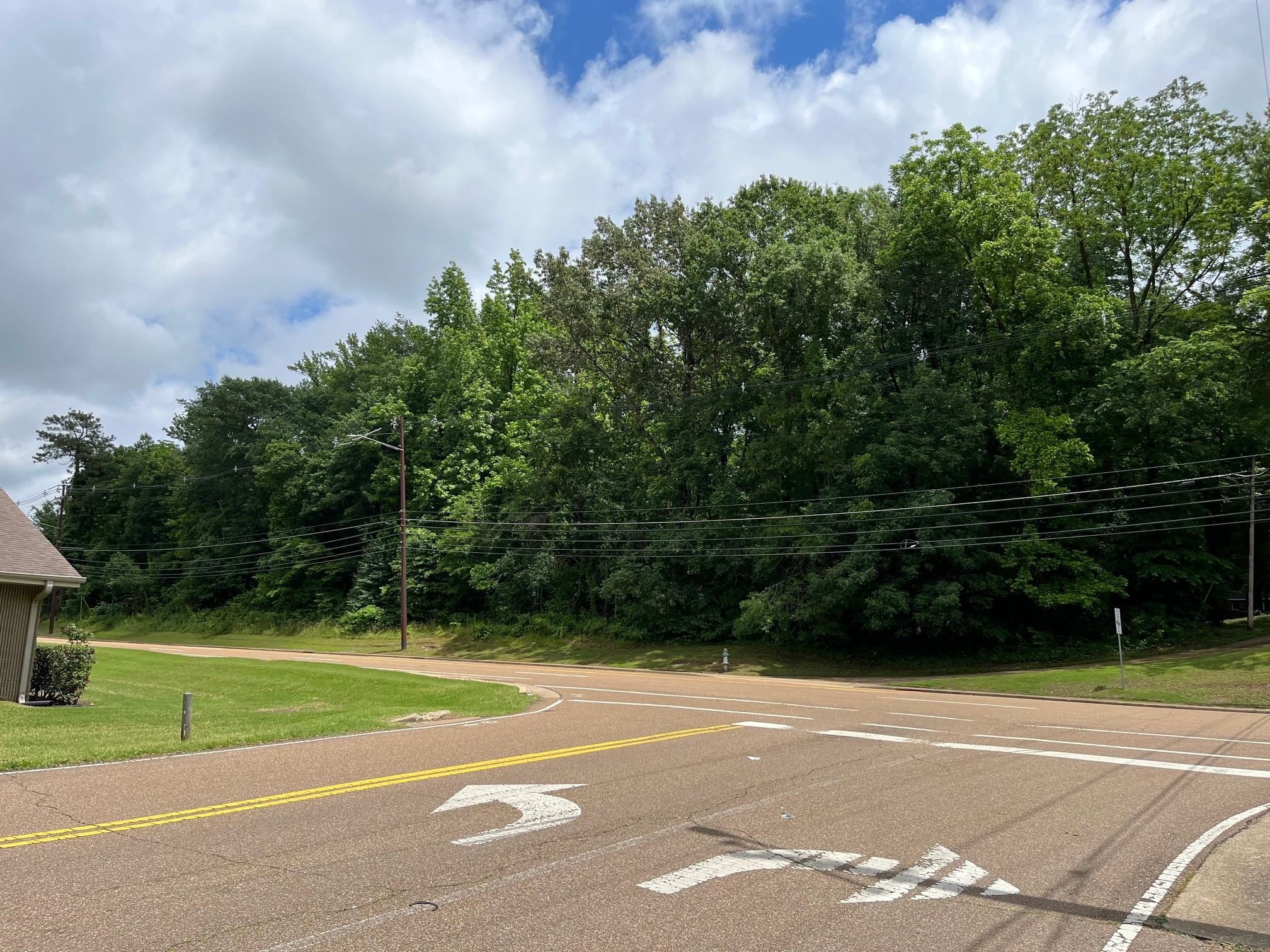 Other - 710 LAKE ROAD, Dyersburg, TN