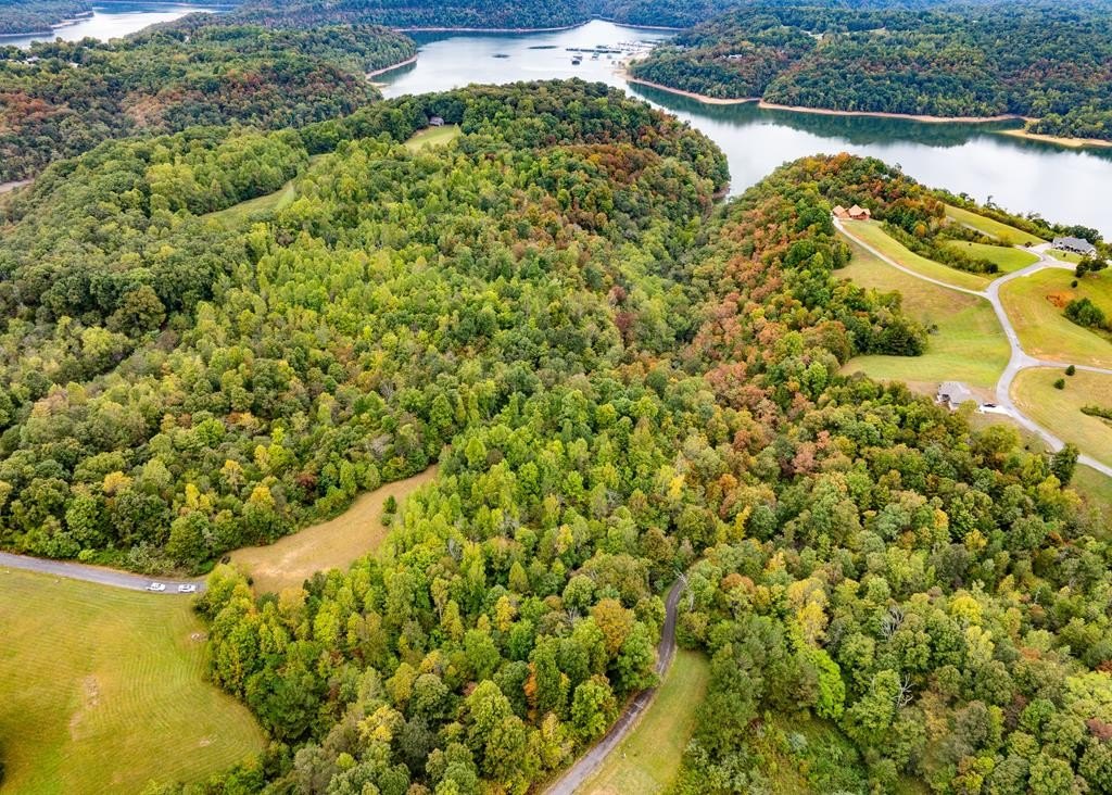 Other - Holly Bend Drive lot: 80, Byrdstown, TN