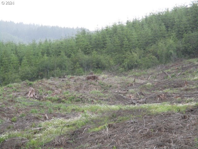 Other - NW Fairdale Rd, Yamhill, OR