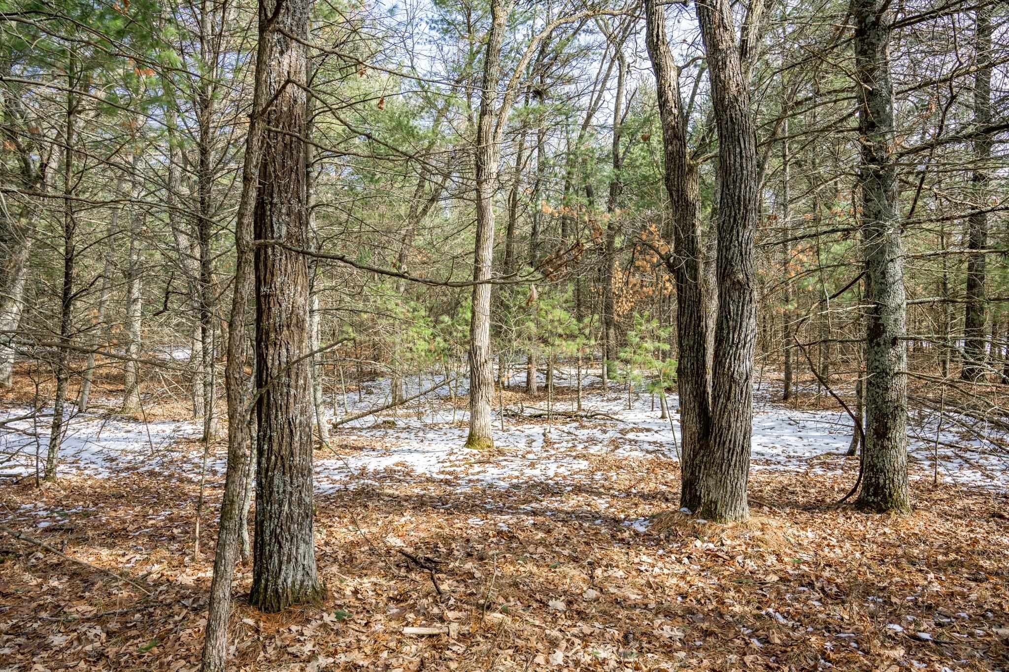 Other - Lot 39 S Badger Lane, Arkdale, WI