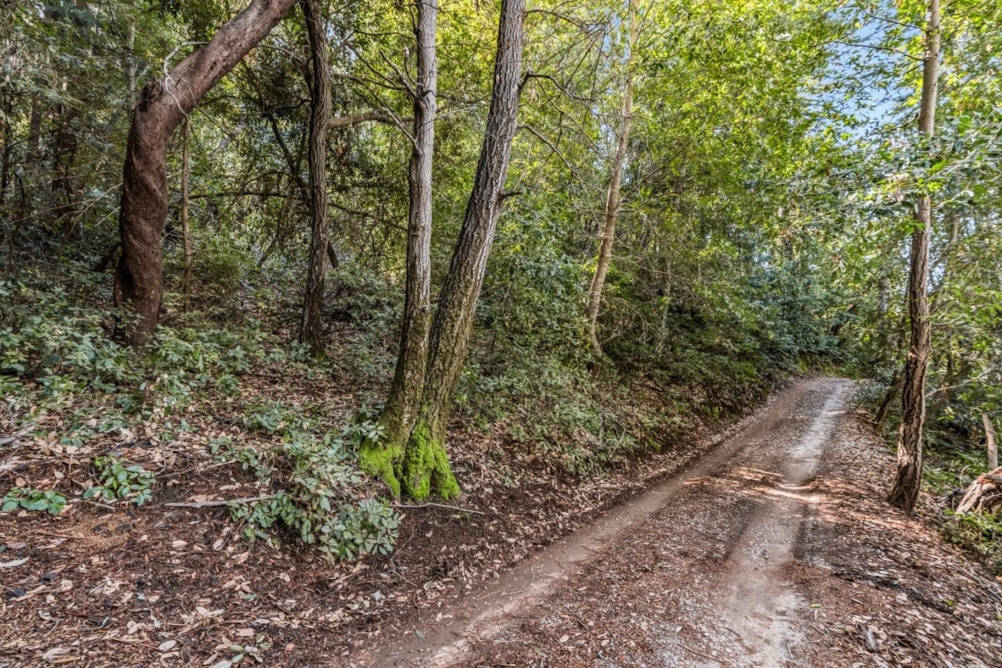 Other - Lot 12 Vera AVE, FELTON, CA