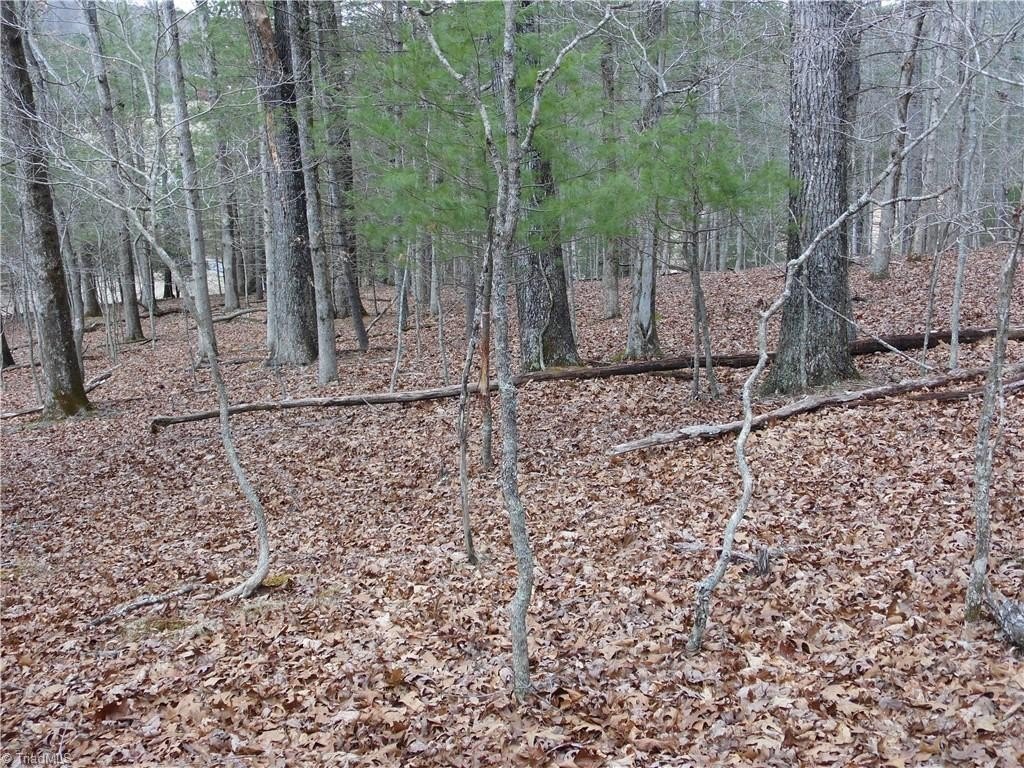 Other - Happy Woods Road, Grassy Creek, NC