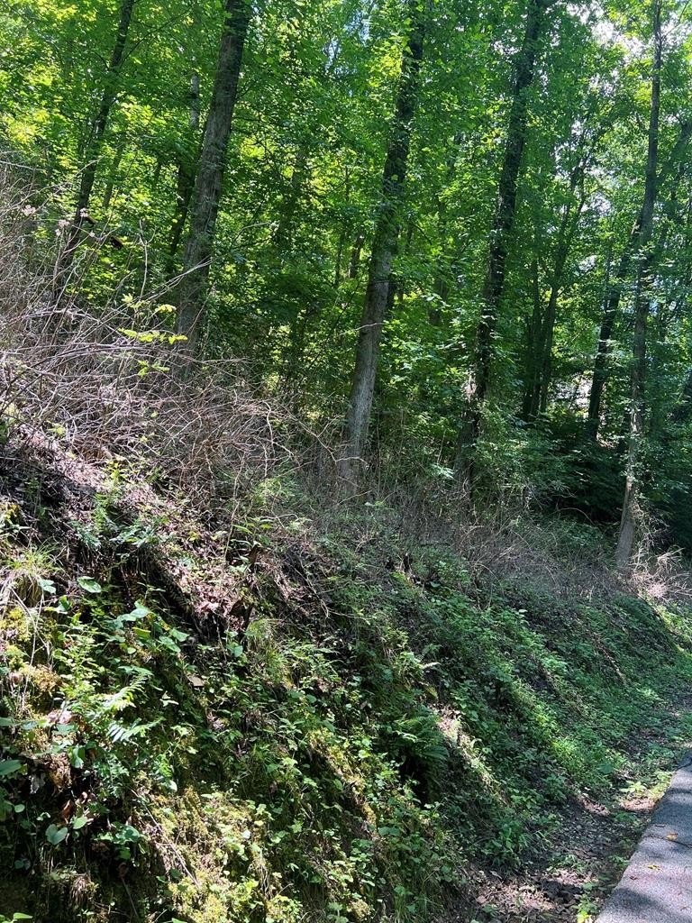 Other - Lot 5&7 Section 3 Mt. Martha, Pikeville, KY