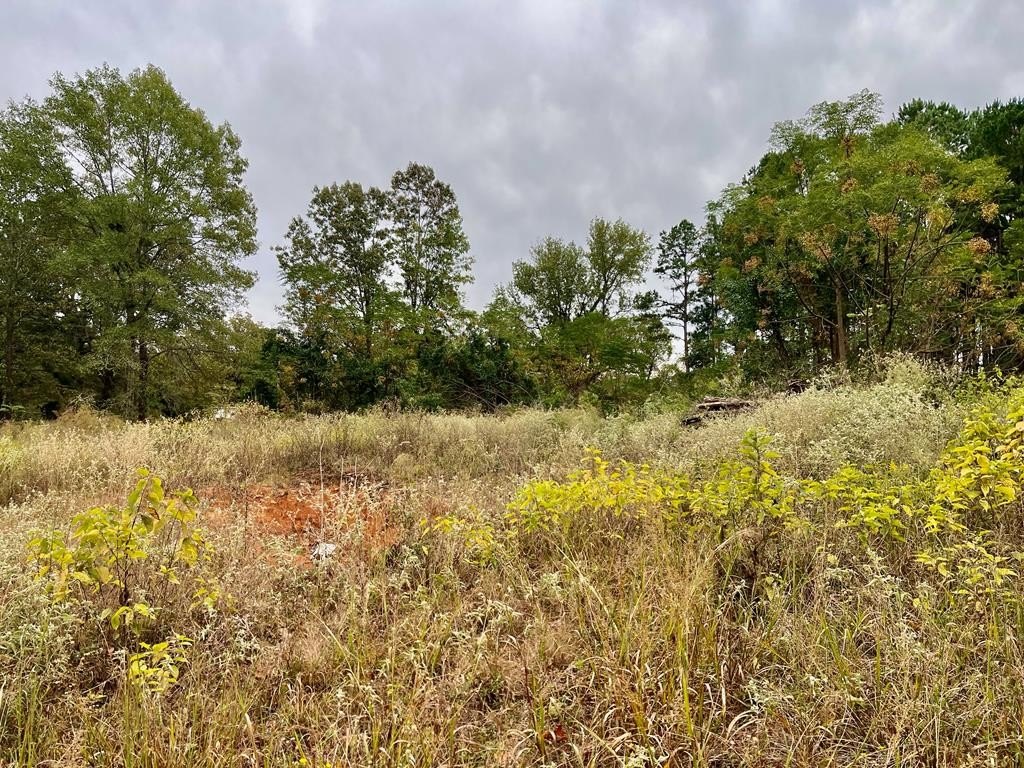 Other - Pine Wilderness Dr., Queen City, TX