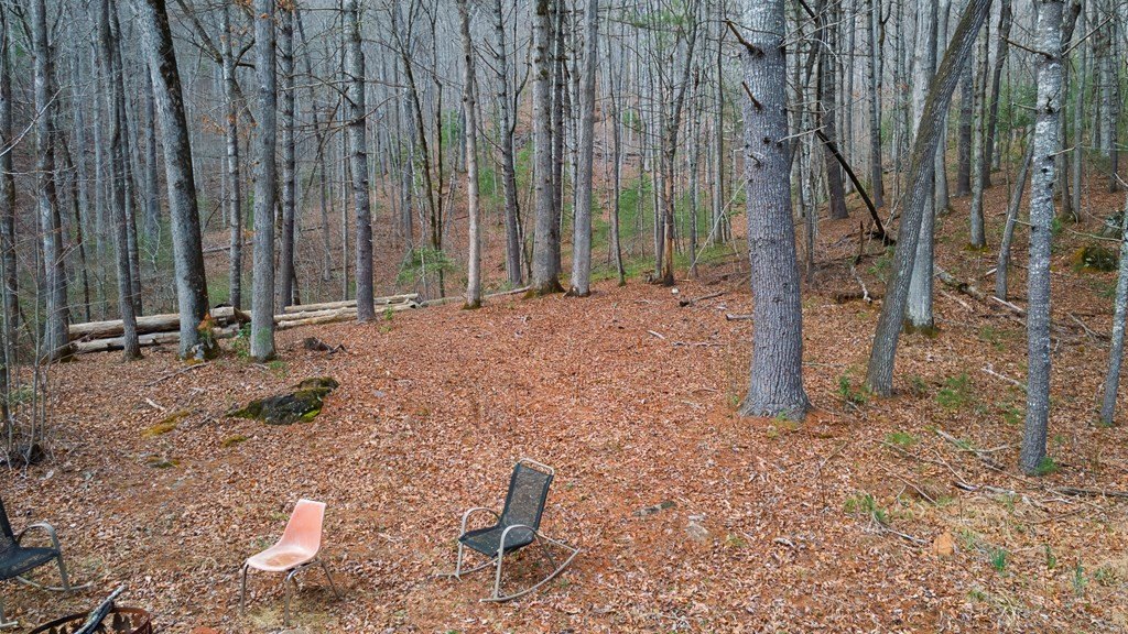 Other 2BR 1BA - 2035 Wayah Rd., Franklin, NC