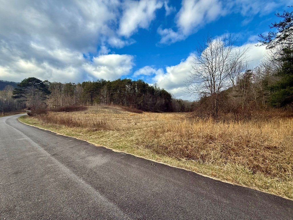Other - 0 Cedar Springs Road, TURTLETOWN, TN