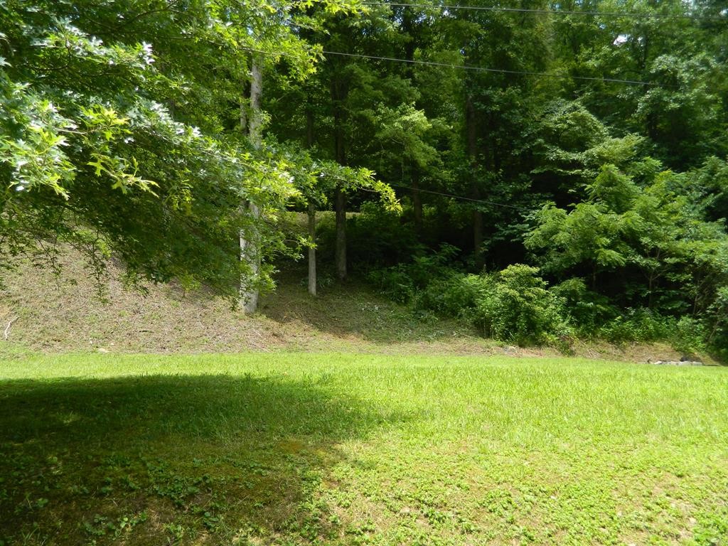 Other - 454 Newsome Branch, Virgie, KY