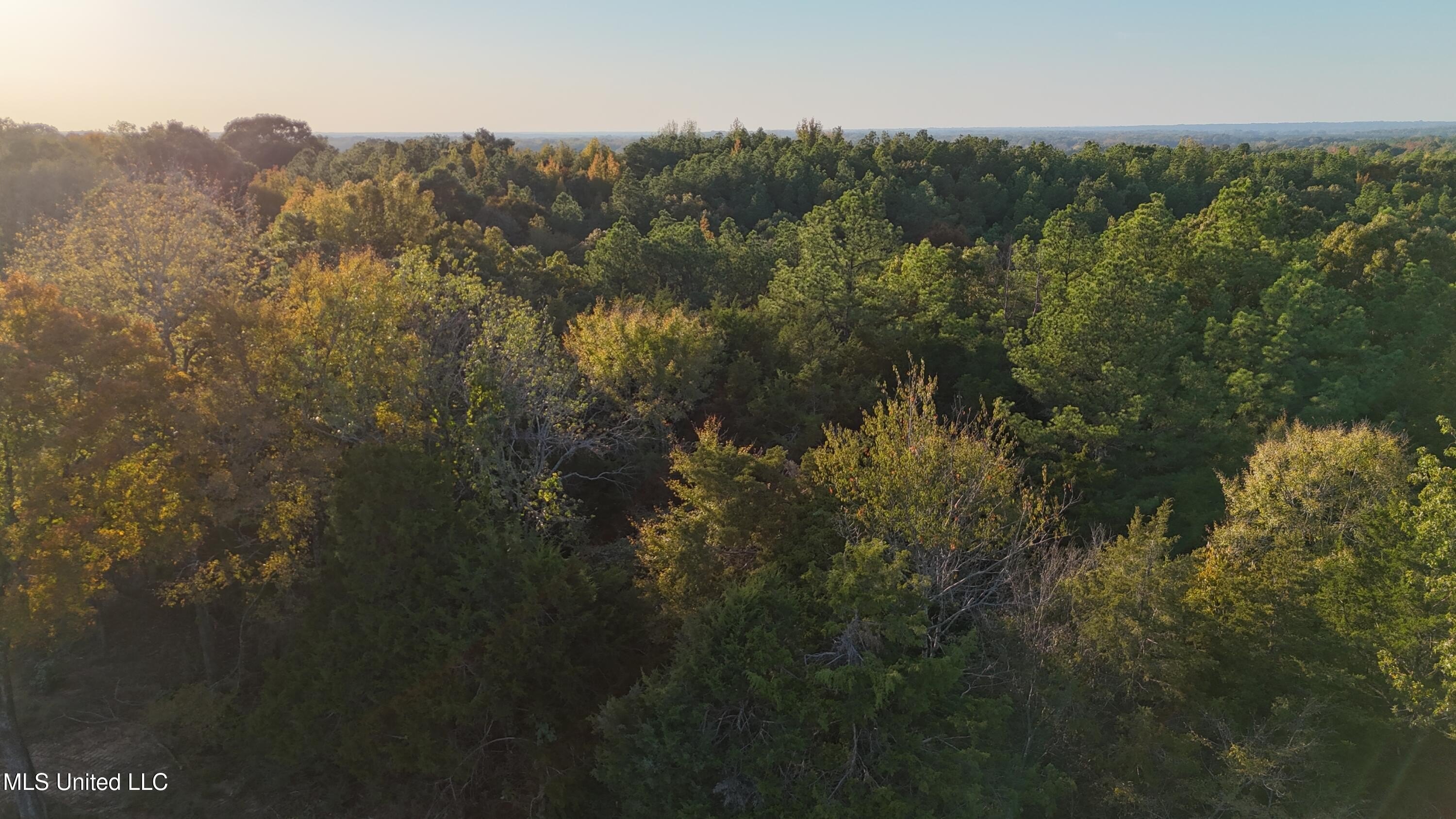 Single Family - 3 Tyro Branch Cove lot: 3, Senatobia, MS