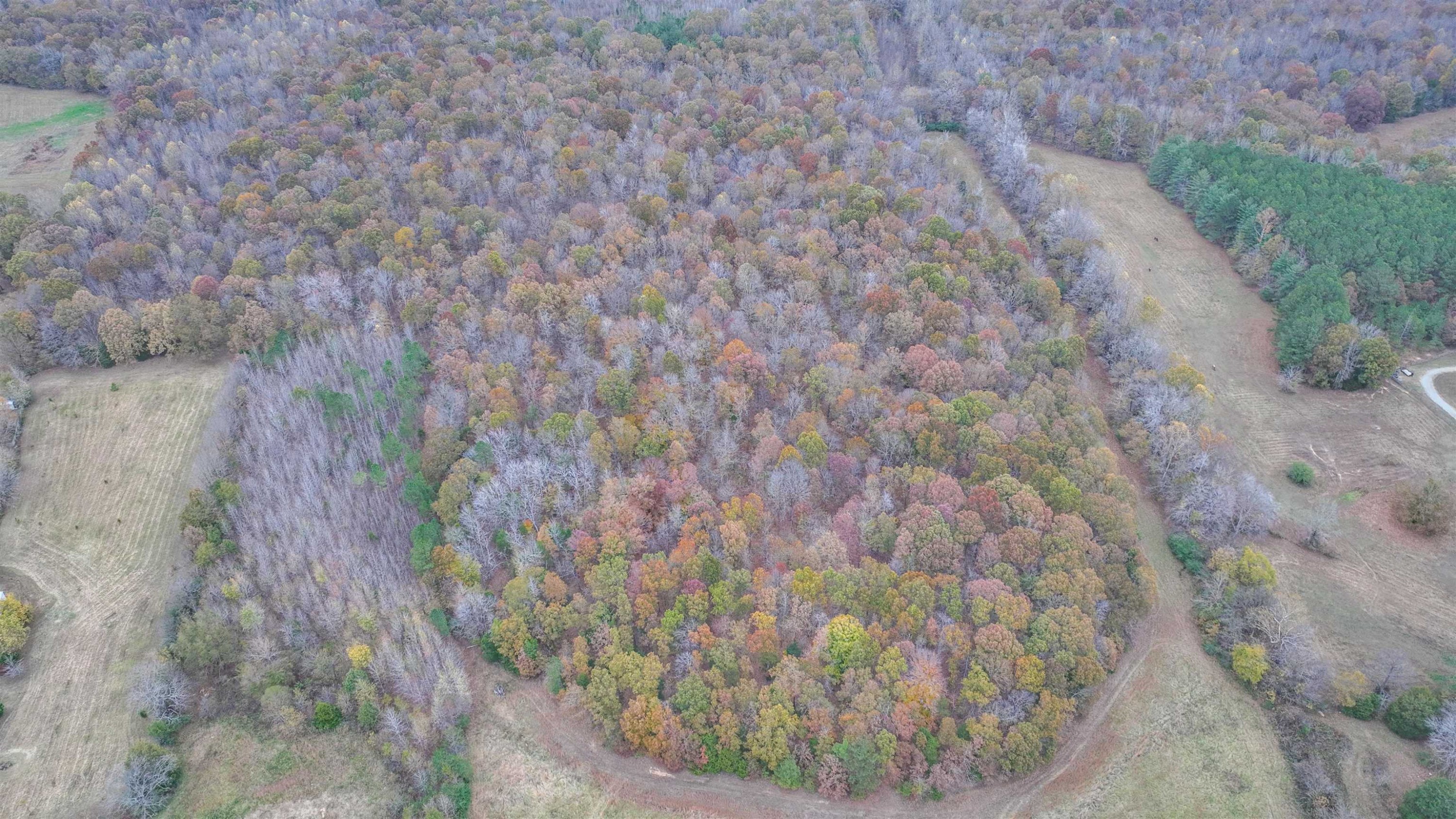 Other - Hwy 412 W, Lexington, TN