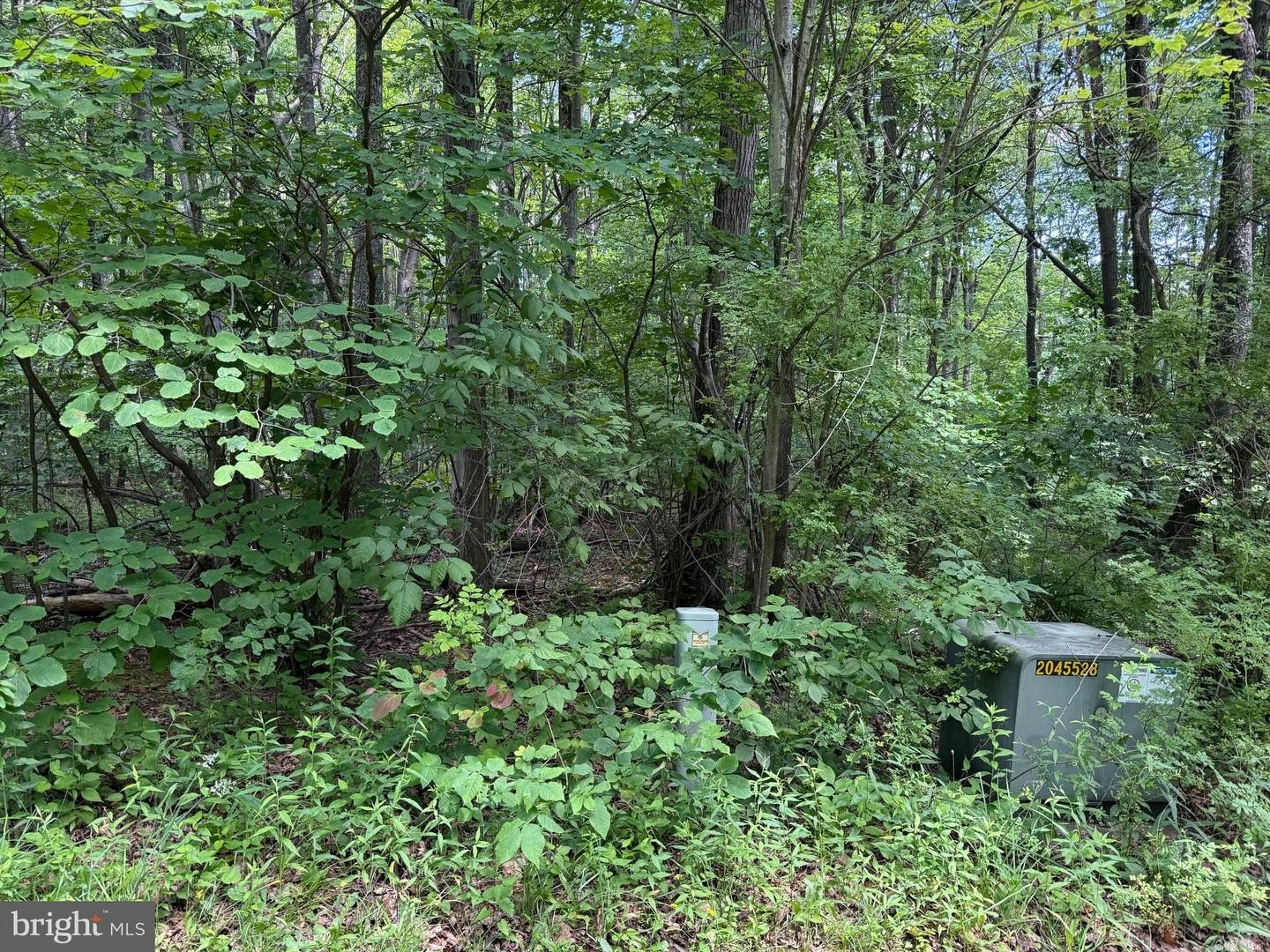 Plots and Land - APEX COURT, SWANTON, MD