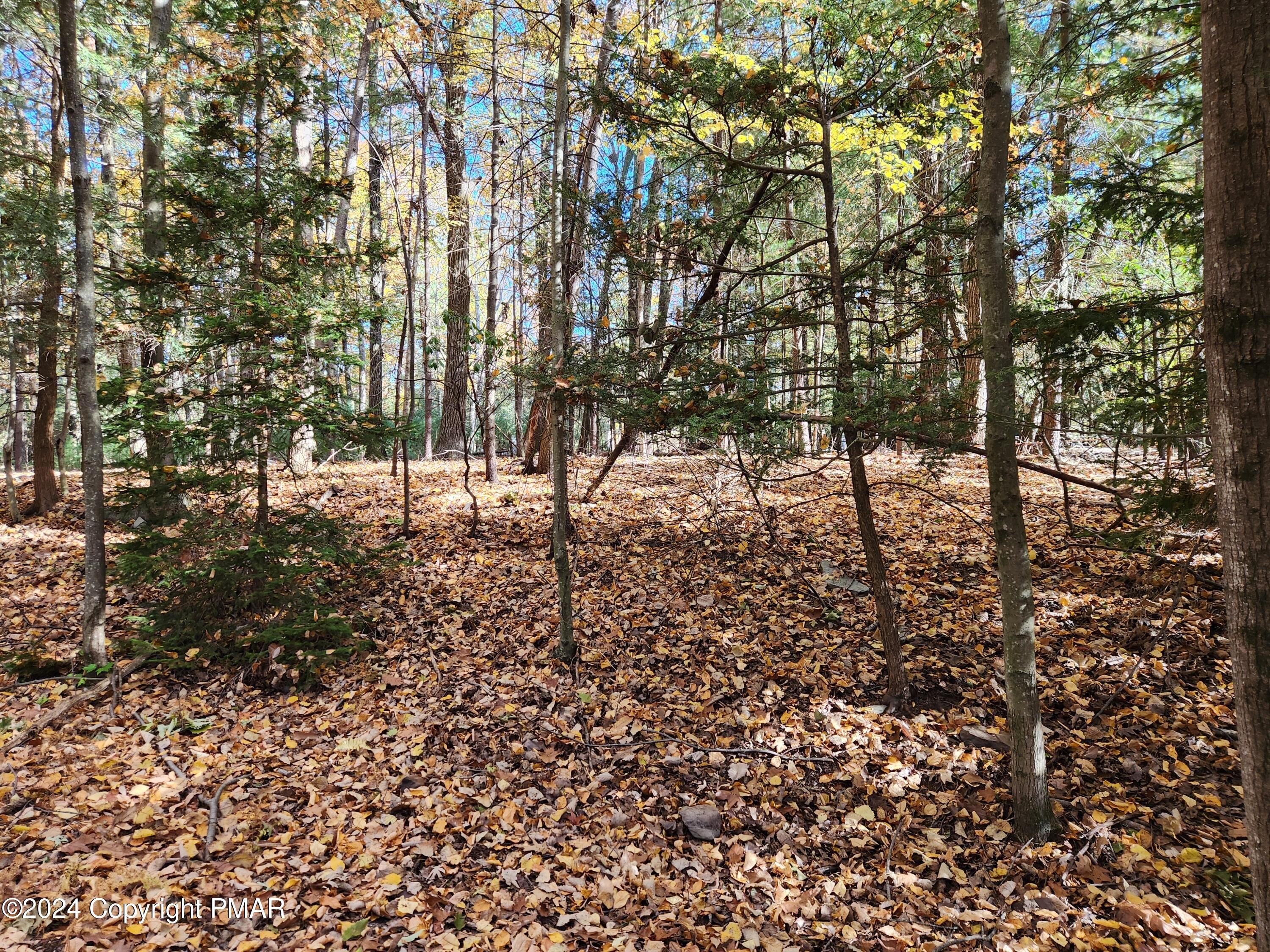 Plots and Land - Lot 25 Mongul Circle, Henryville, PA