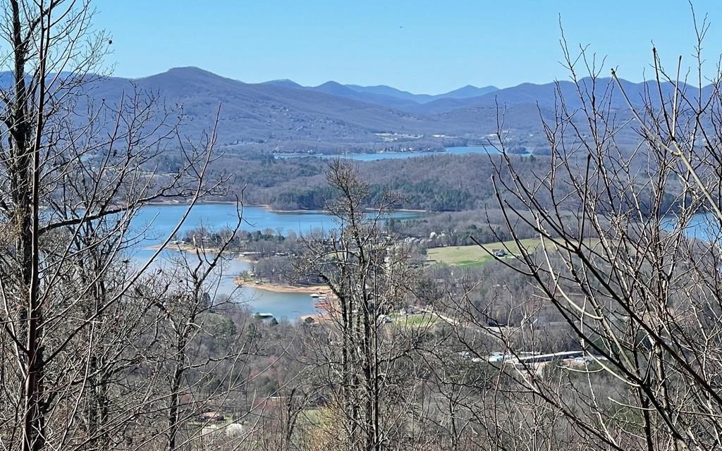 Other - Lot 14 Mountain Harbour, HAYESVILLE, NC