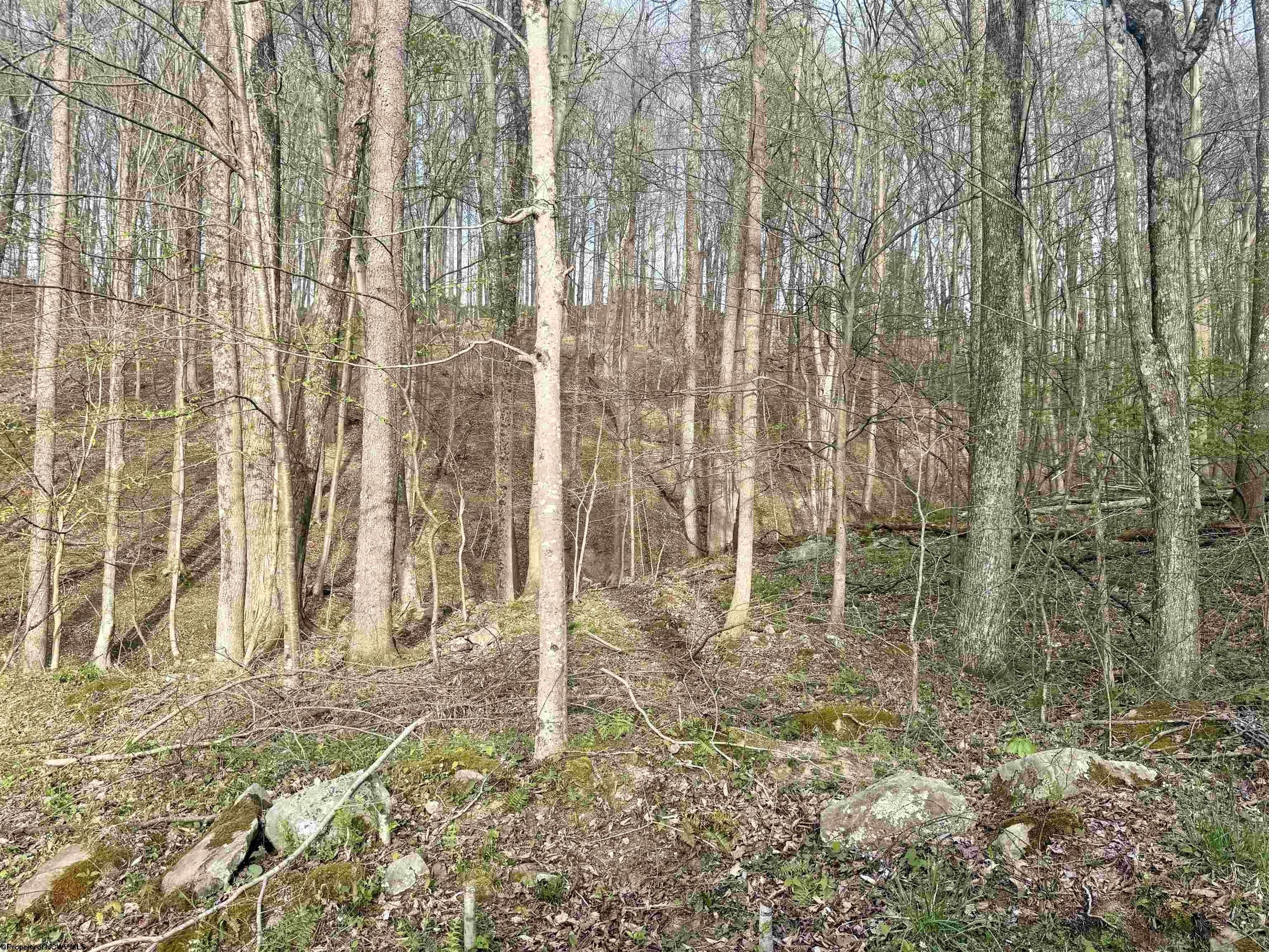 Other - Lot 23 & 23A Serene Drive, Grafton, WV