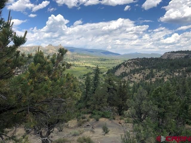 Other - 29736 State Hwy 151, Chimney Rock, CO