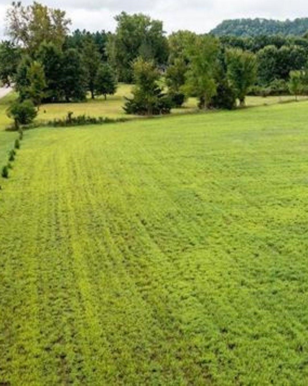 Other - 8.46 Acres Coon Rock Road, Arena, WI