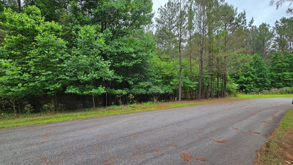 Other - Lot 42 Loftis Mountain Way, Blairsville, GA