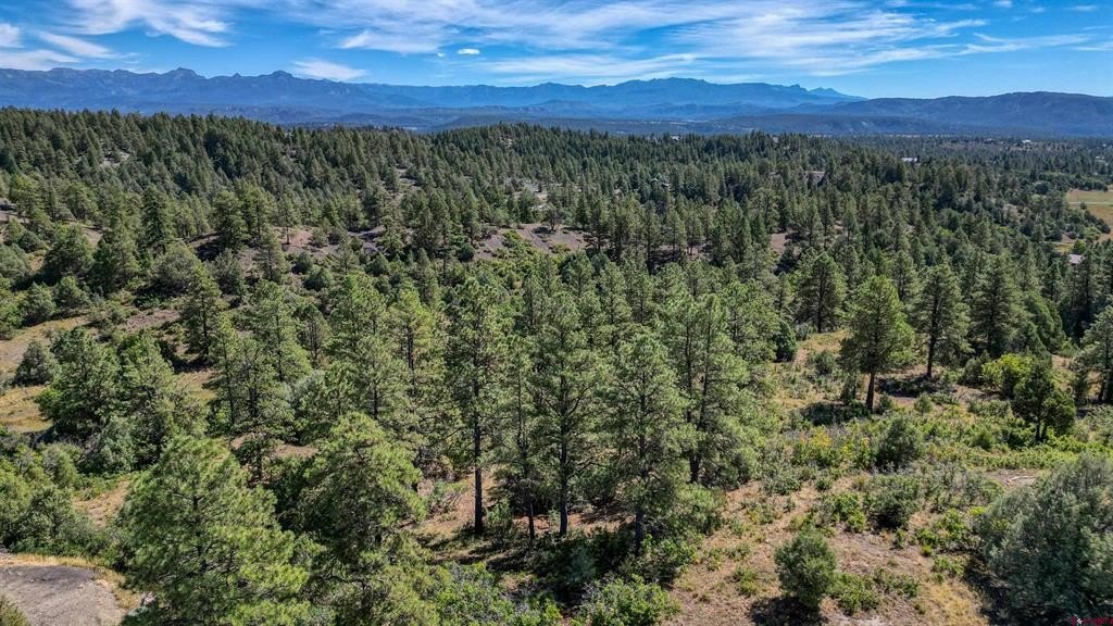 Single Family - 128 S Feather Court, Pagosa Springs, CO