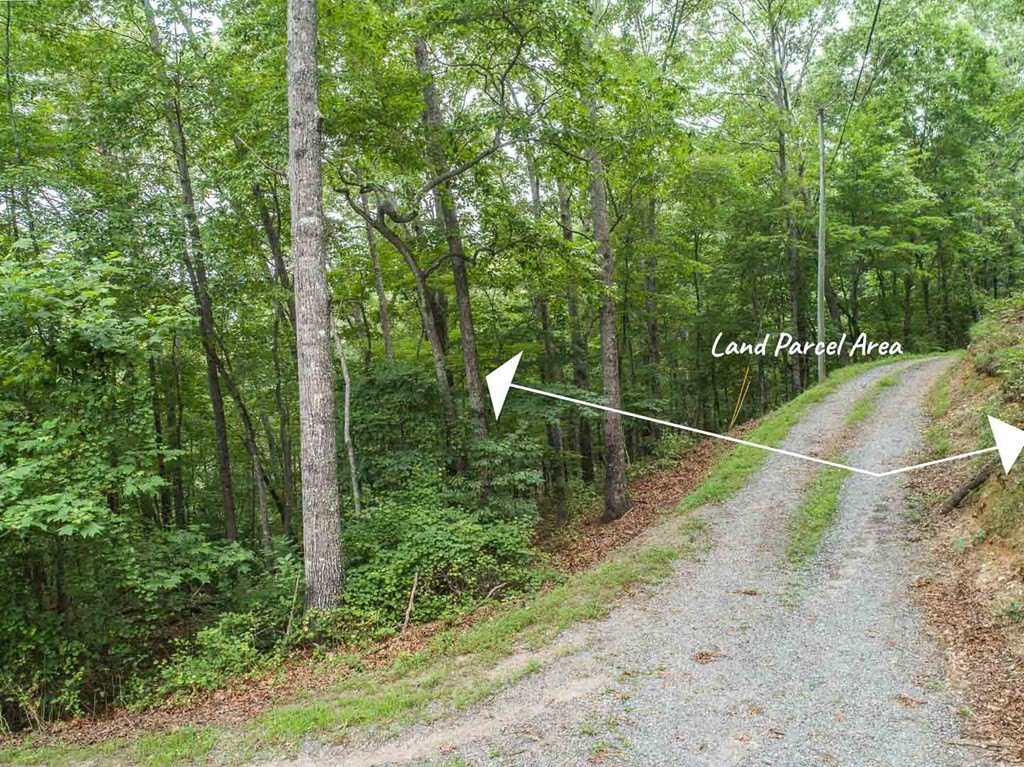 Other - Deer Lane, Ellijay, GA
