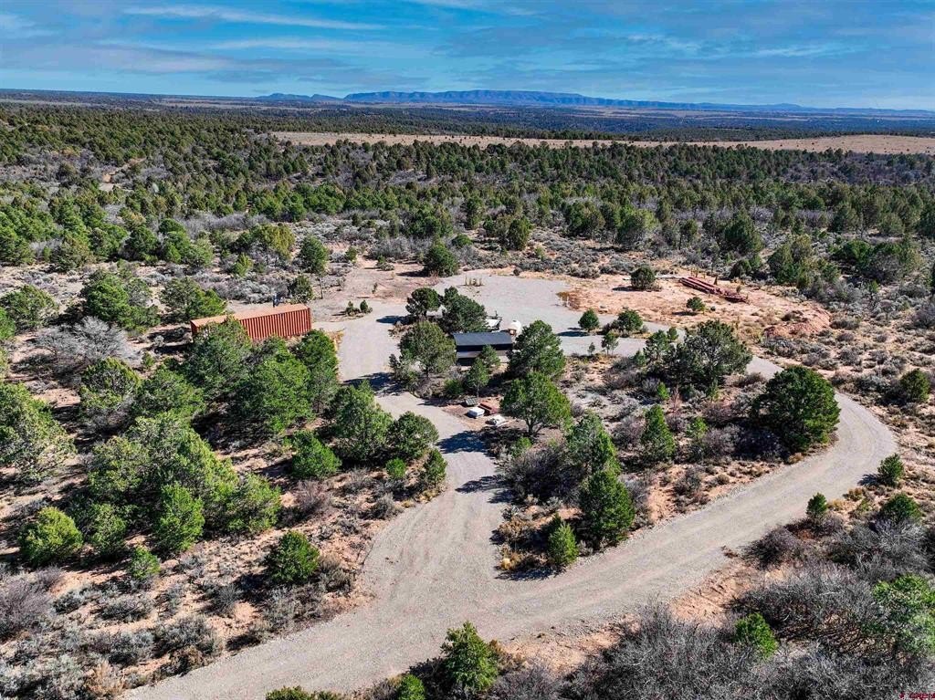Single Family - 1657 De Oro Way, Hesperus, CO