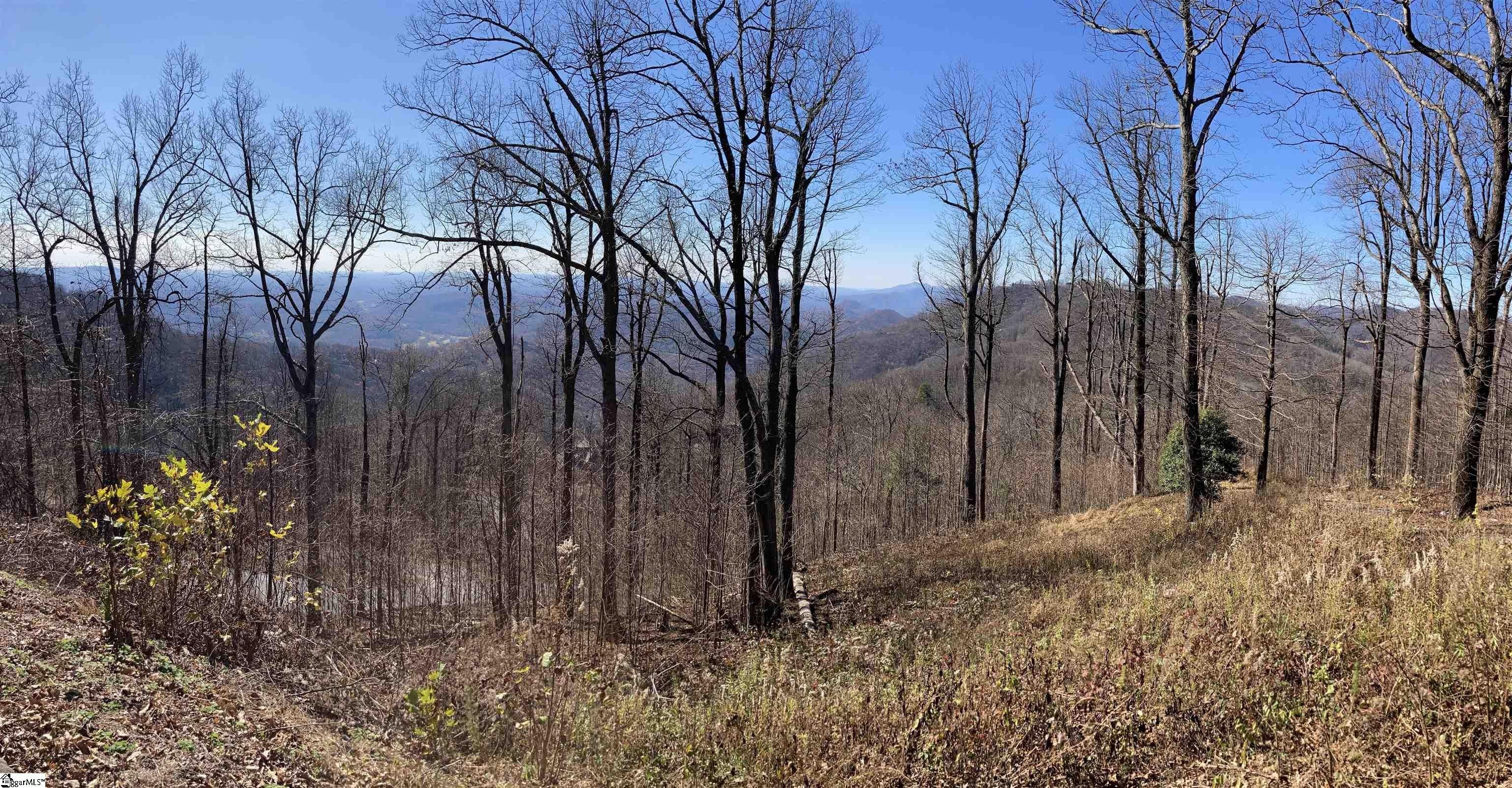 Other - Hidden Rock Way, Zirconia, NC