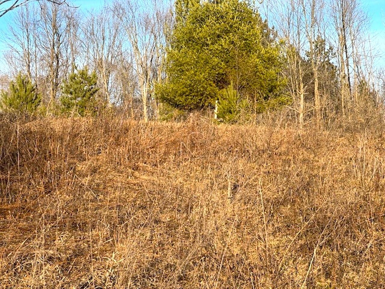 Lot 6 THORN APPLE DR