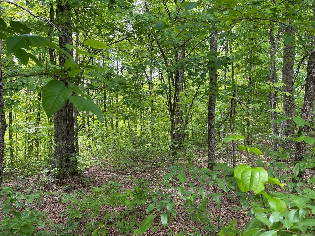 Other - Icy Cove Trail lot: 37, Monterey, TN
