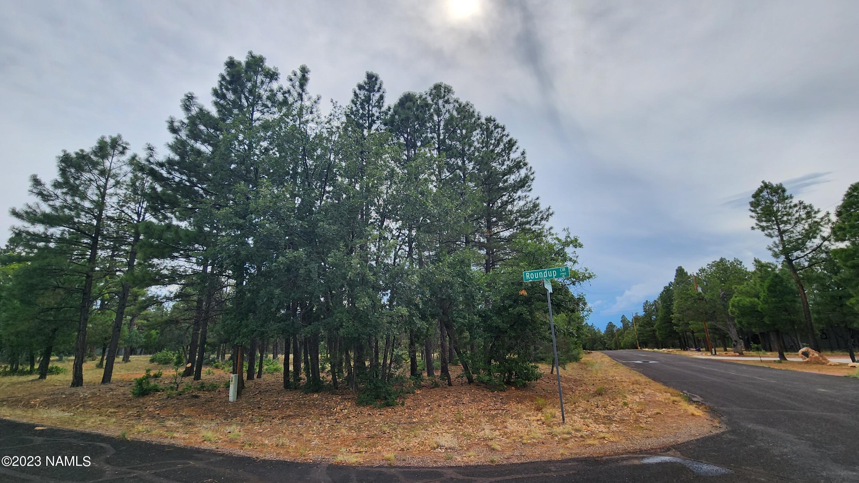 2940 Roundup Cir  