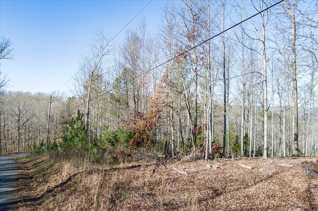 Other - Lillydale Rd lot: 23, Byrdstown, TN