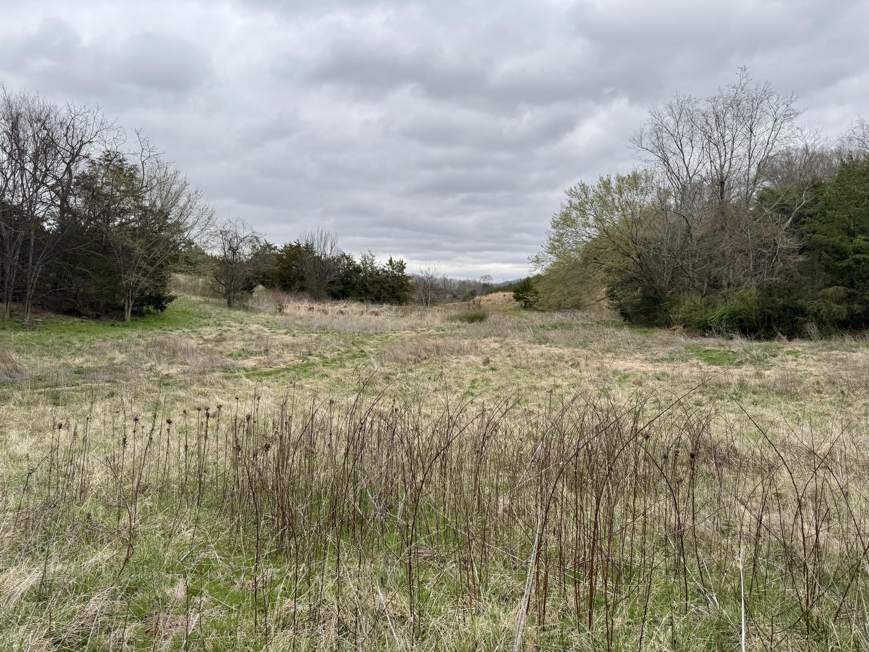 Plots and Land - 2424 Freshour Hollow Road Road, Parrottsville, TN