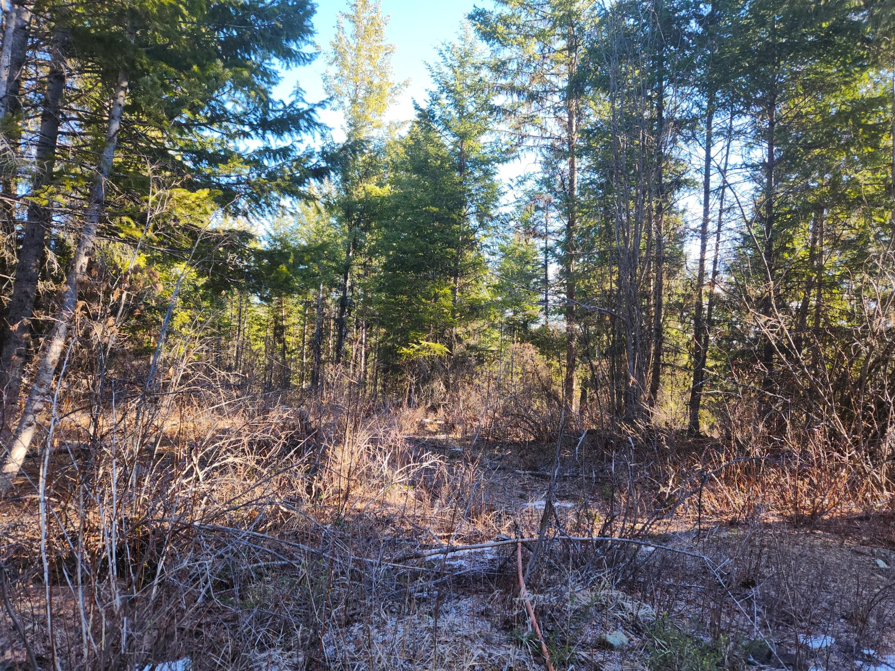 Other - 318 ROCKABYE LN, CURLEW, WA