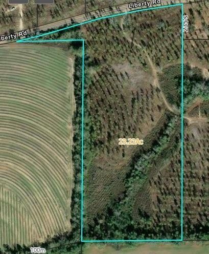 Single Family - 000 Liberty Rd, Pansey, AL