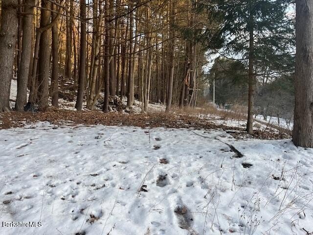 Other - Pine St, Great Barrington, MA