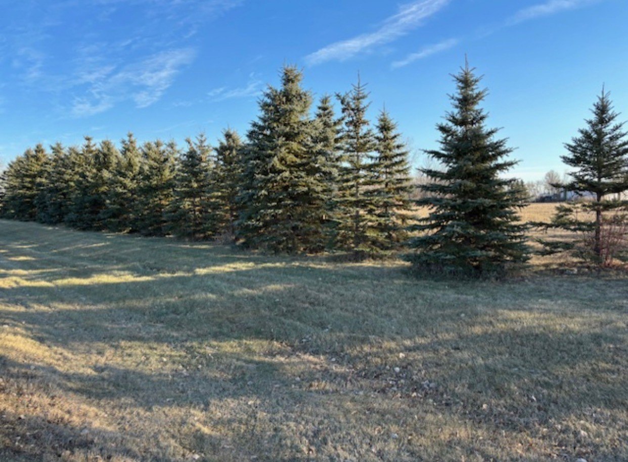 Other - 217 2nd St SE, New Rockford, ND