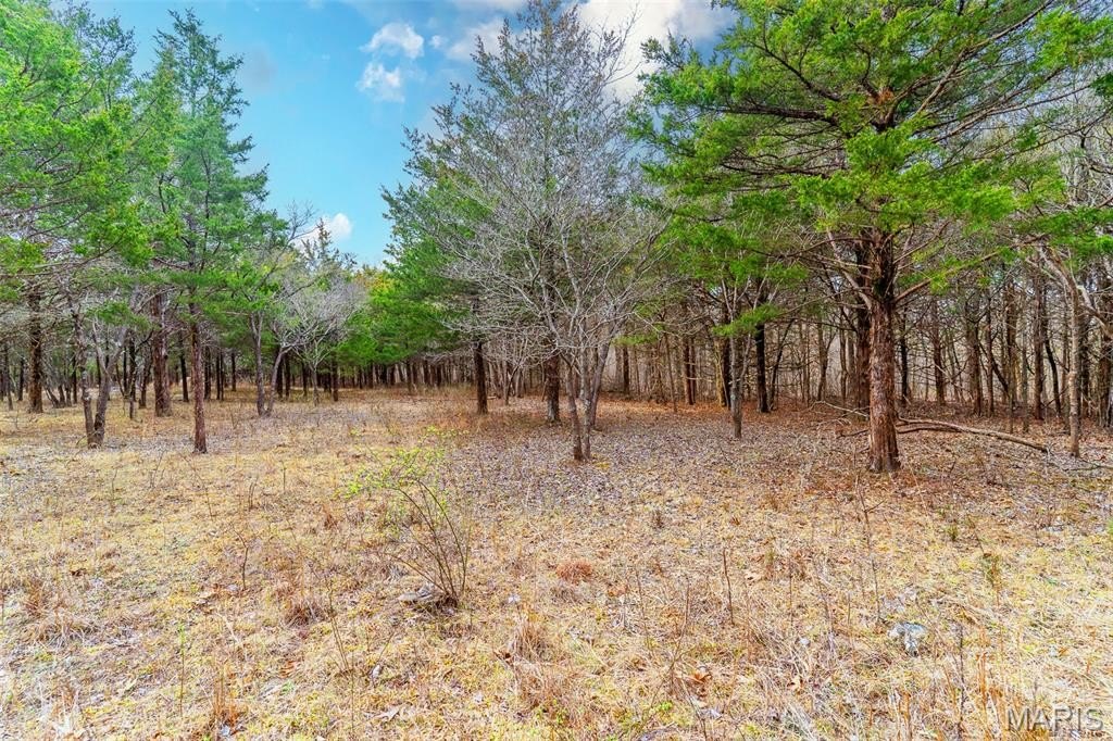 Other - 10135 Oakland Drive, Cadet, MO