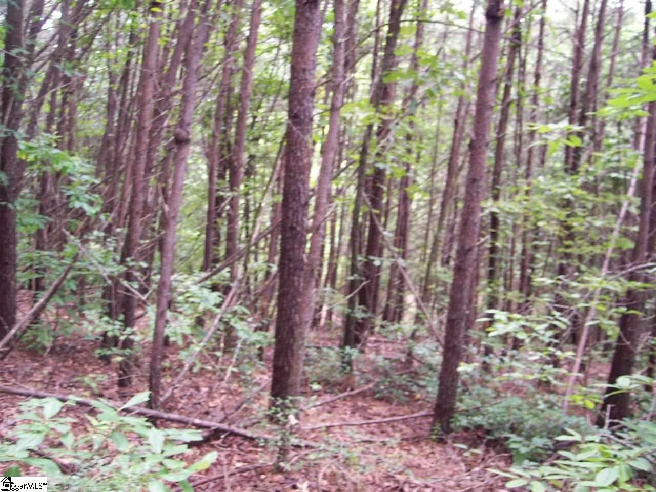 Other - 343 Gauley Falls Road, Pickens, SC