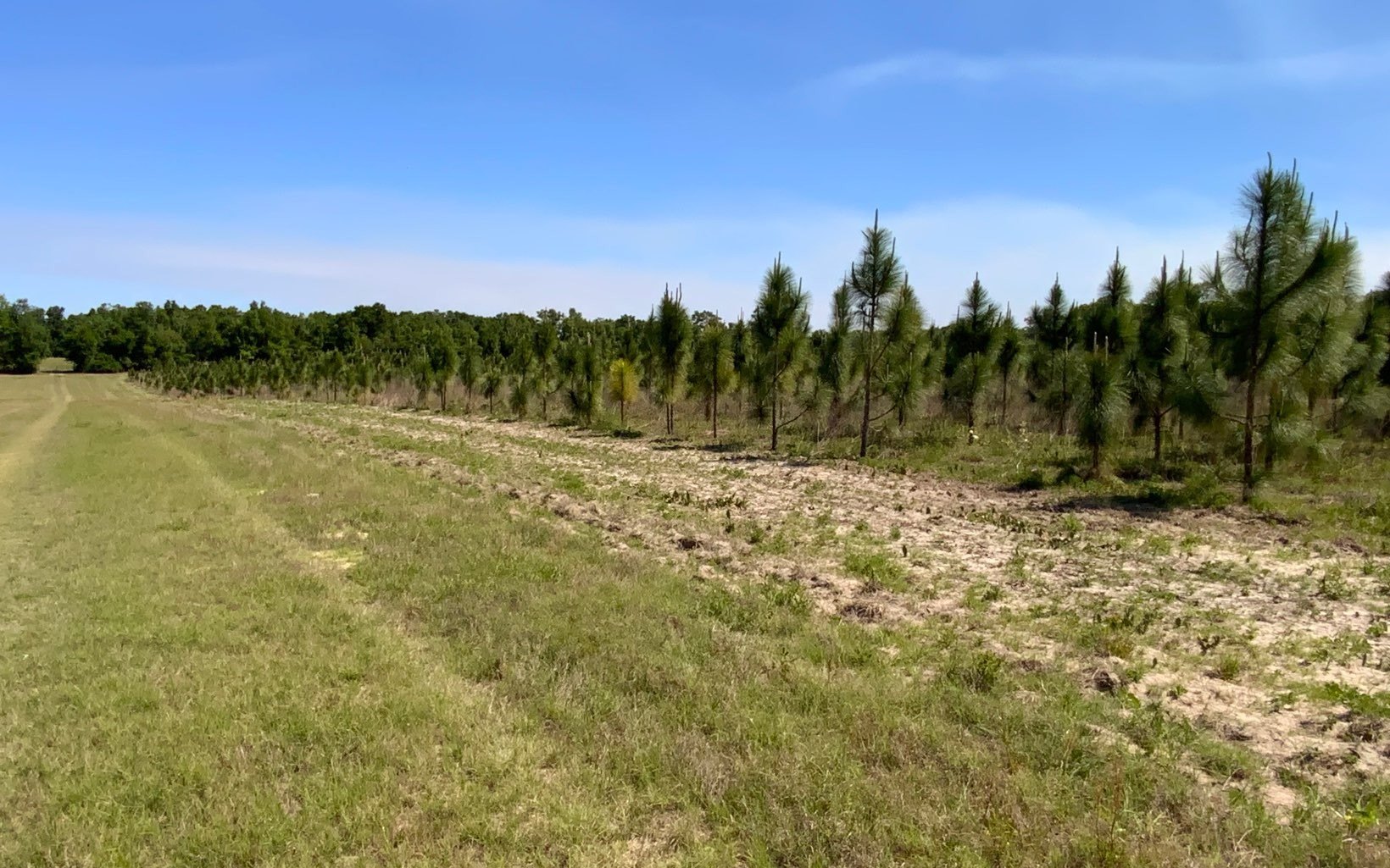 Other - TBD CR 132, Live Oak, FL